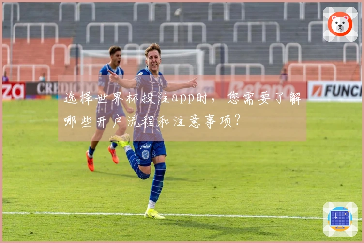 选择世界杯投注app时，您需要了解哪些开户流程和注意事项？