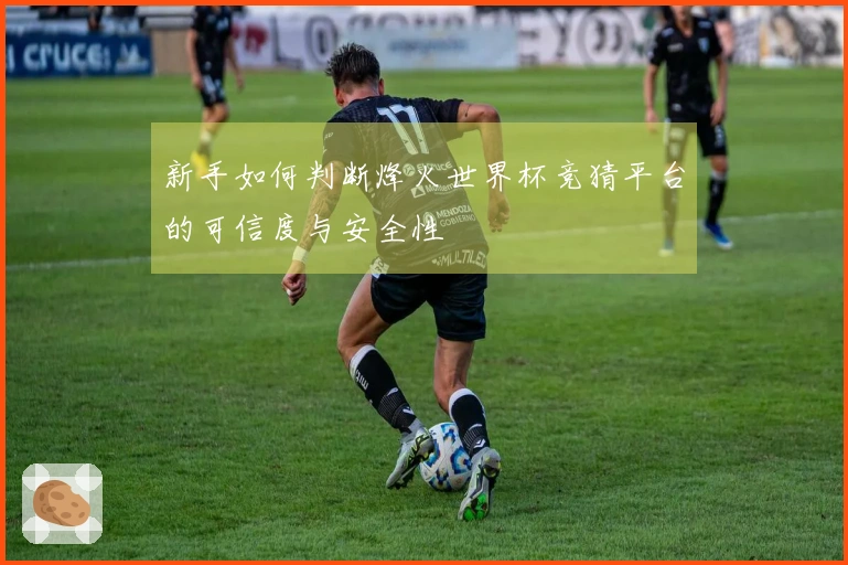 新手如何判断烽火世界杯竞猜平台的可信度与安全性