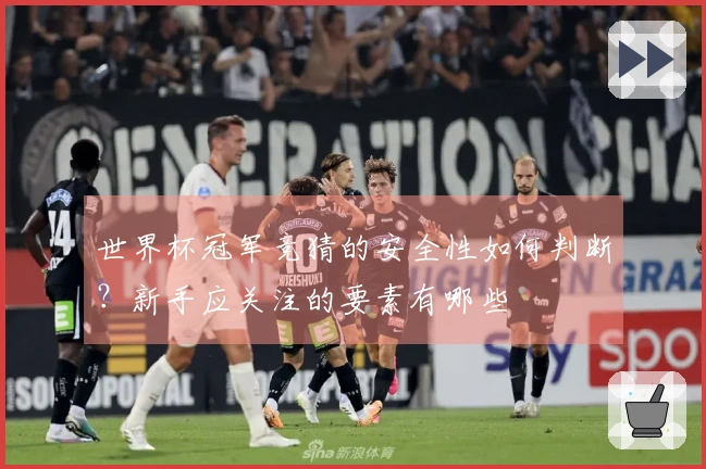 世界杯冠军竞猜的安全性如何判断？新手应关注的要素有哪些